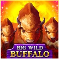 game logo by Belatra Games on playjangocasino.at